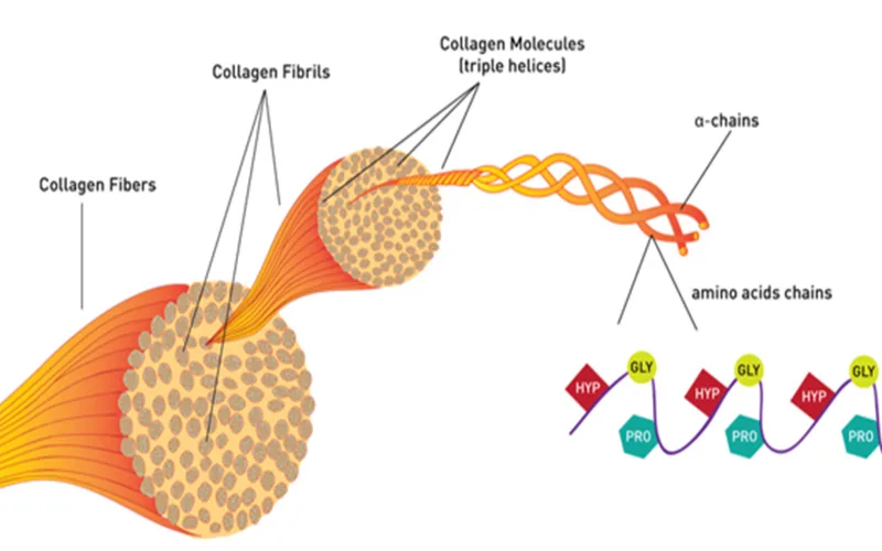 uong collagen luc nao la tot nhat nhung luu y khi su dung