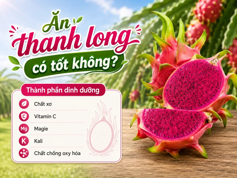 Thanh long là loại trái cây nhiệt đới phổ biến tại Việt Nam chứa nhiều dưỡng chất có lợi cho sức khỏe.