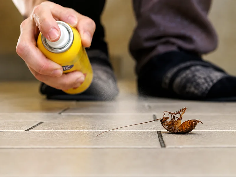 Cách diệt gián tại nhà an toàn cần ưu tiên sản phẩm có nhãn rõ ràng, dùng đúng liều và tránh xa trẻ nhỏ, vật nuôi.